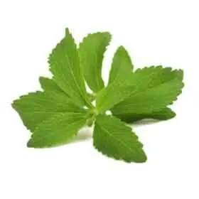 Stevia Leaf